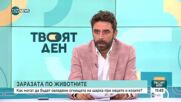 Опасна ли е за хората шарката при овцете и козите