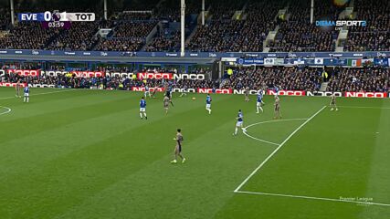 Tottenham Hotspur with a Goal vs. Everton