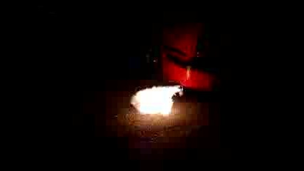 Трабант - Трабант FIRE