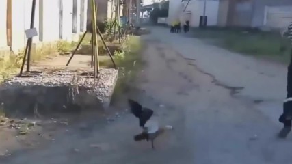 Complitaion best of Thug Life