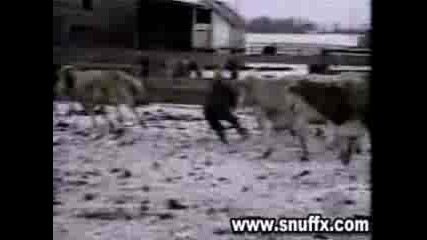 Ski - Roumanie