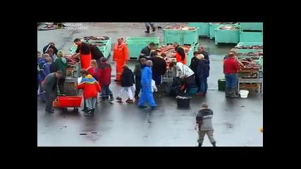 Табу - Проливане на кръв - National Geographic