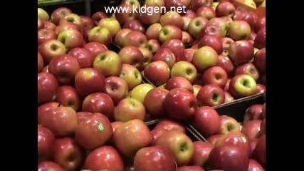 apples