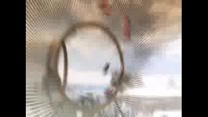 Trackmania 4ever