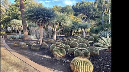 Tenerife - Canary Islands.mpg