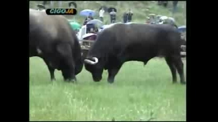 Не ме бутай ма 
