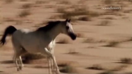 Ernesto Cortazar - Relaxing Piano Music - Official Site - - Eternal Love Affair