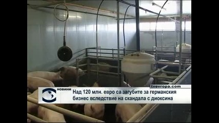 Над 120 млн. евро са загубите за германския бизнес вследствие на скандала с диоксина