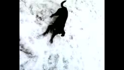 Видео - 0001