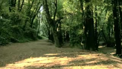 Mountain Biking For Life 
