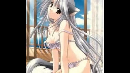 Ecchi - anime - cat - girls
