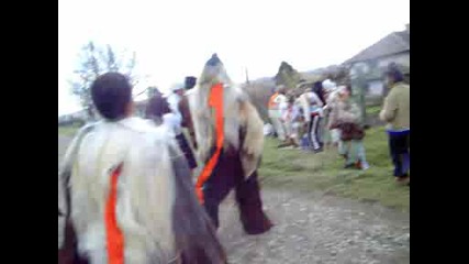 кукерите от светлина 2009