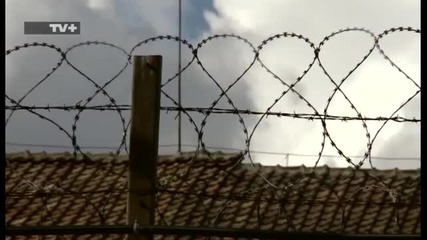 Затворите в България - Късче небе