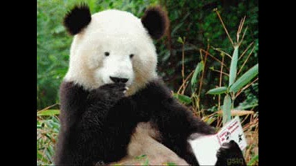 Very Funny Animated Gifs Part 17