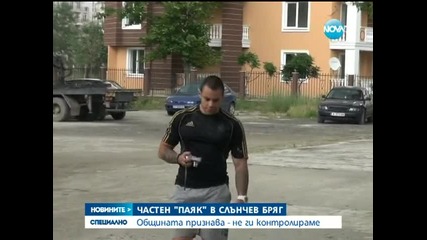 Частна фирма незаконно вдига коли по Черноморието