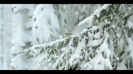 Nightwish - While Your Lips Are Still Red [hd - Lyrics]