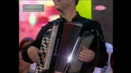 Jelena Brocic - Moja sliko