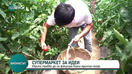 Георгиева: Инфлацията намалява бързо и очакванията са, че ще се върне до 2% през втората половина на