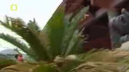 National Geographic - Kung Fu Weapons - (4 - 5)