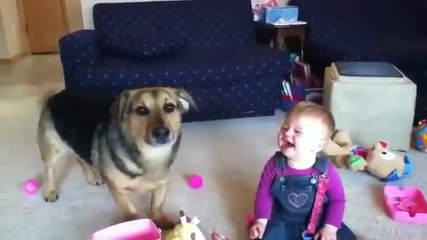 бебе се смее на кучето