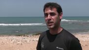 Рядък вид тюлен предизвика сензация на израелски плаж