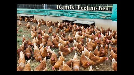 Dj Feissa - Techno hen remix 2014