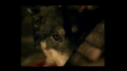 Evanescence - Lies 