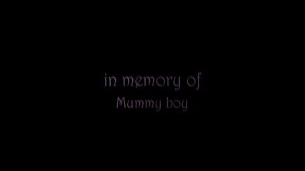 Tim Burton s Mummy Boy 