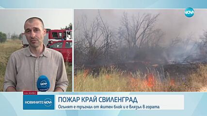 Голям пожар пламна край Свиленград, огънят обхвана и гора