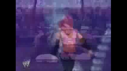 Torrie Wilson Tribute