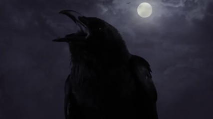 Edguy - Ravenblack // Official Lyric Video