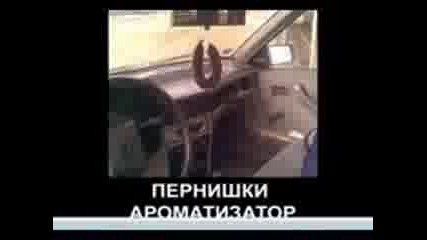 Welcome to The Перник