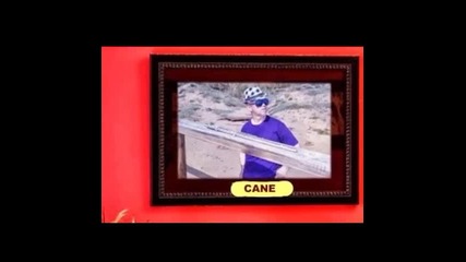 Цане Николовски - Те Видов Тебе И Се Залјубив