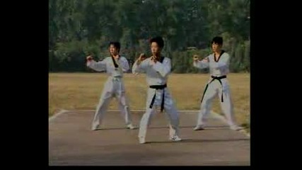 Taekwondo Techniques Part 1