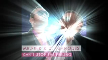 (2012) Mr.p!nk Franques - Cant Stop The Feeling