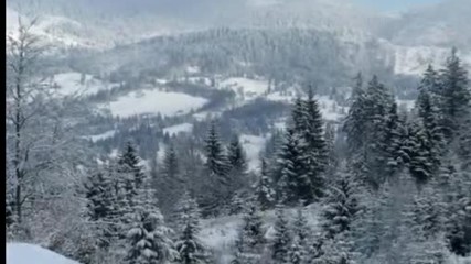 Winter Beauty