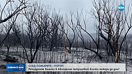 Рекордните валежи в Австралия потушават всички пожари до дни?