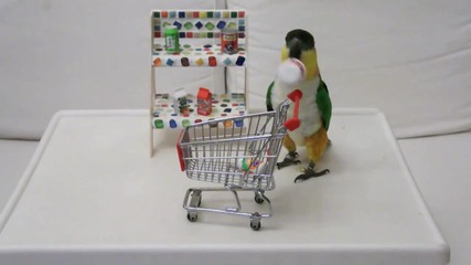 Пазаруване в Супермаркета