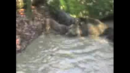 Mov00006.3gp