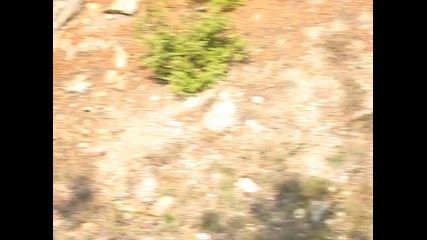 Rali Tvurdica 2009 
