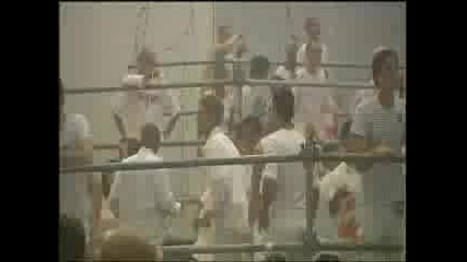 Sensation White 2004