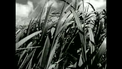 Black - Wonderful Life (original Audio 1987)