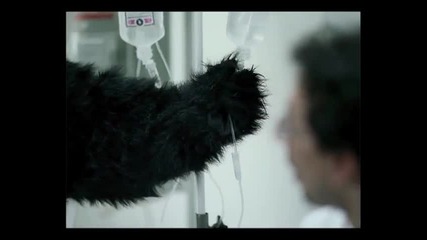 Never Say No to Panda - Hospital ! Смях ! + Бг Субс 