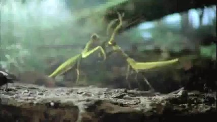 Volkswagen Beetle 2012 Commercial