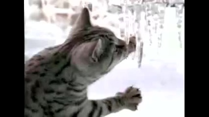 Whiskas - Let It Snow 