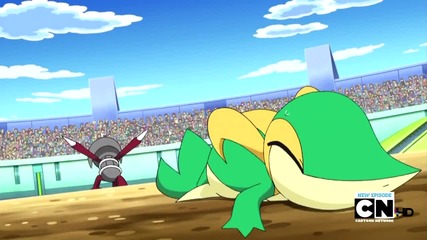 Pokemon Black and White - Cilan Versus Trip, Ash Versus Georgia!