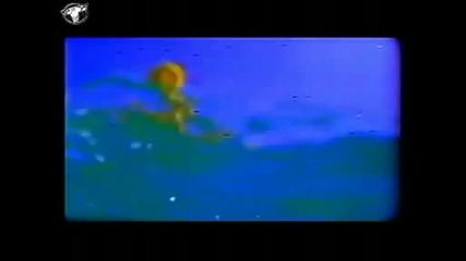 C- Block - Broken Wings