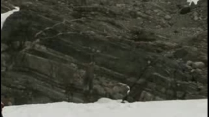 nike acg - danny and the groms