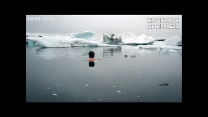 Тренировката на ледения човек