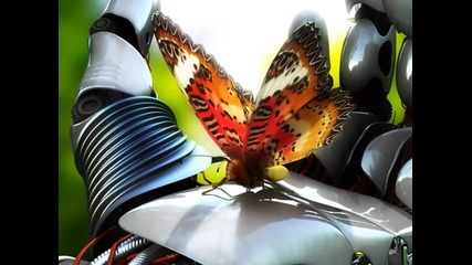 Diary of Dreams - Butterfly Dance